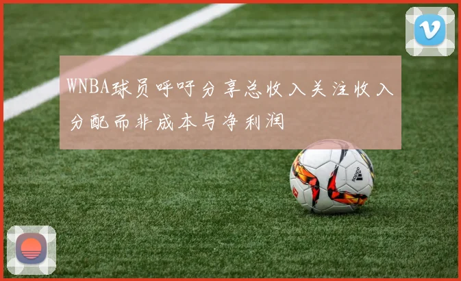 WNBA球员呼吁分享总收入关注收入分配而非成本与净利润