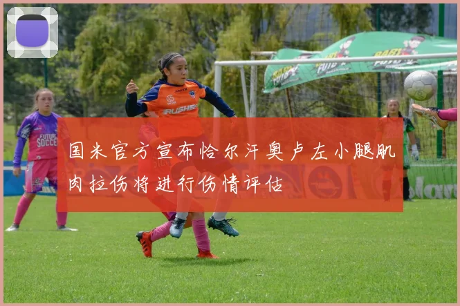 国米官方宣布恰尔汗奥卢左小腿肌肉拉伤将进行伤情评估