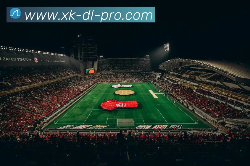 星空体育平台生态图