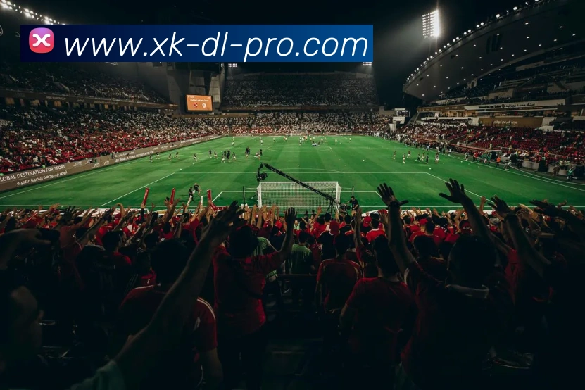 星空体育APP 封面图